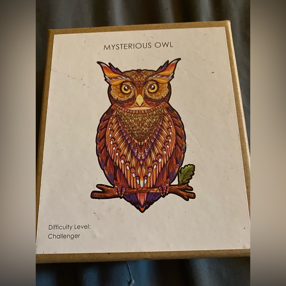 Vibrant Owl Puzzle Challenger" level